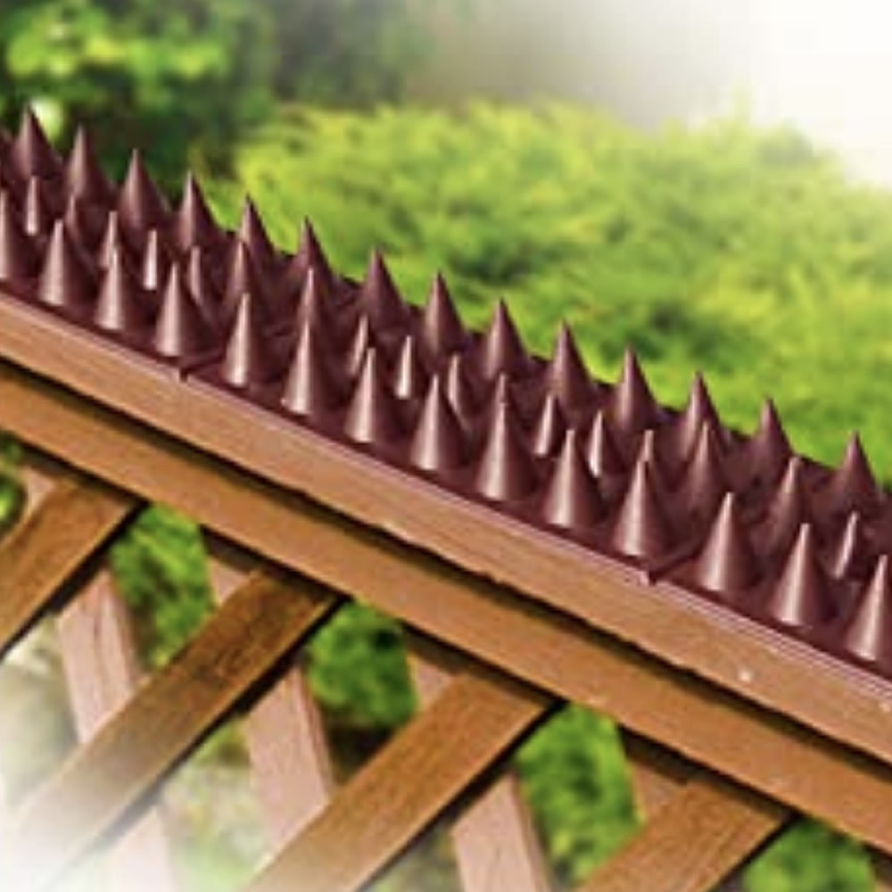 Possum Spikes, image 7