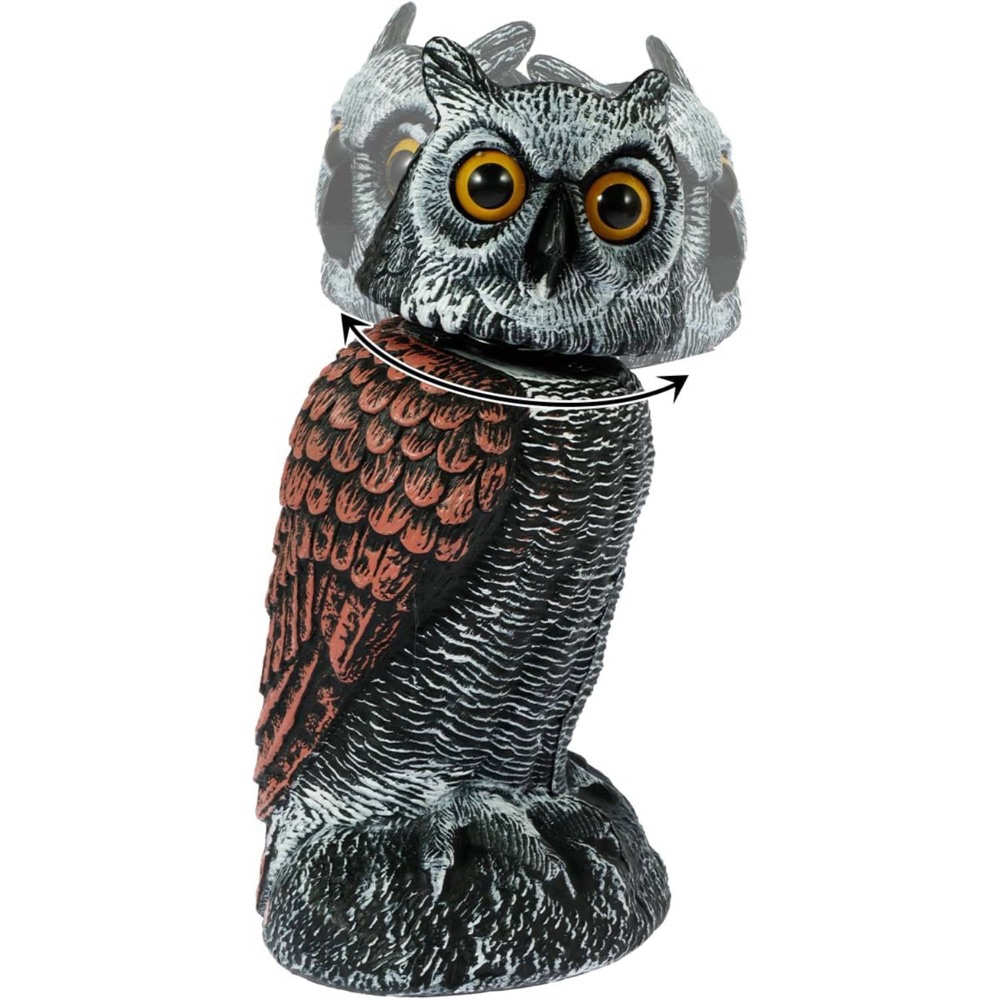 Fake Owl Decoy, image 4