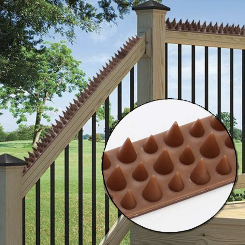 Hard Plastic Bird Spikes, image 3
